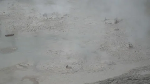 Air bubble eruptions in hot mud, in New Zealand Stock Footage 219969568