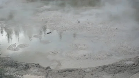 Air bubble eruptions in hot mud, in New Zealand Stock Footage 219976288