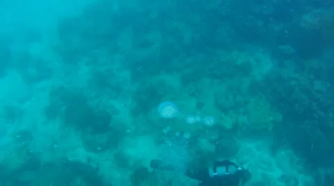 Air Bubble Stock Footage 7903563