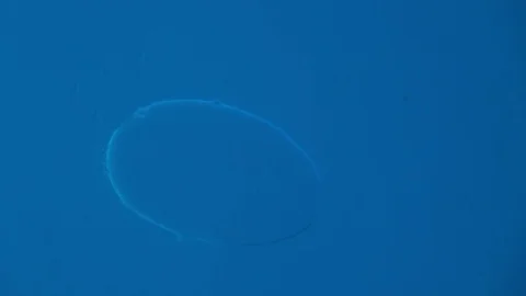 Air Bubble Trapped Under Glass Video stock 70500993