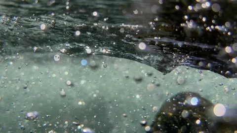 Air bubbles and tiny particles drift through seawater near rocks creating natura 스톡 동영상 342139950
