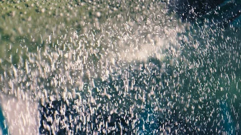Air bubbles in the aquarium Stock Footage 101006472