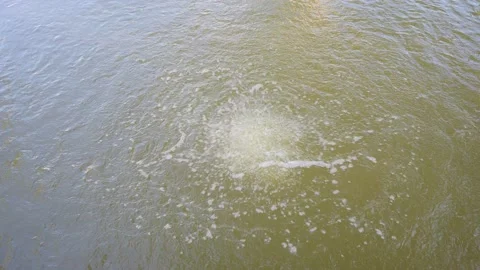 Air Bubbles Are Passed Through The Water In Water Releasing Oxygen. Vídeo Stock 197069564