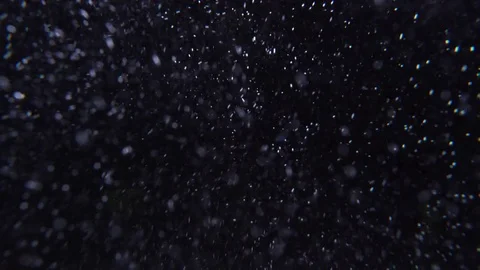 Air bubbles in black water Video stock 76902285