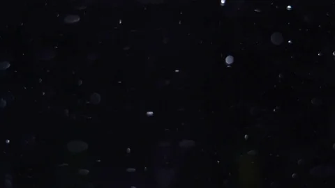 Air bubbles in black water Video stock 76907096
