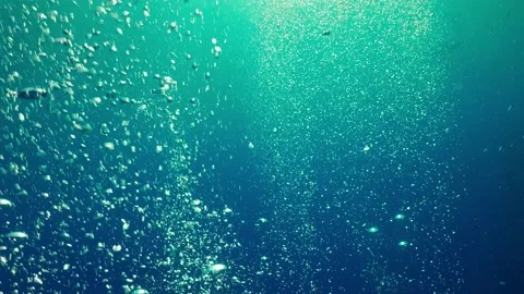 Air Bubbles in the Blue Water Stock Footage 154469998