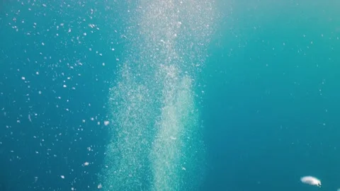 Air Bubbles in the Blue Water Stock Footage 254742235