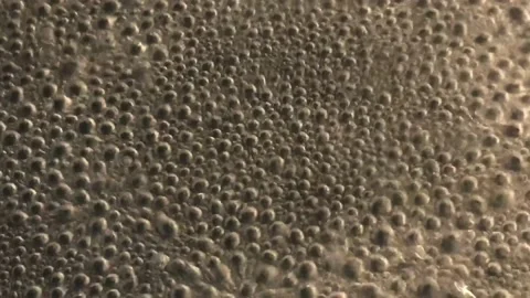 Air bubbles in boiling water Stock Footage 146711217