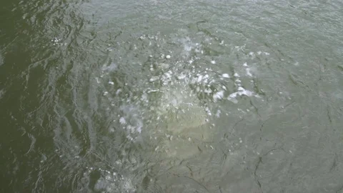 Air bubbles coming up from under water Stock Footage 70875874