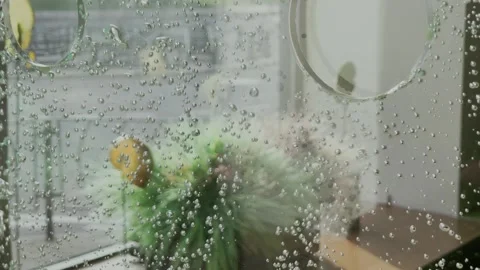 Air bubbles on a display case in a cafe Video stock 337741834