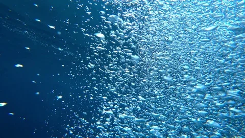 Air bubbles from divers rise from the bottom of the sea 库存影片 85422638