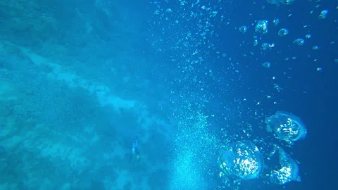 Air bubbles from divers rise from the bottom of the sea Stock Footage 85718181