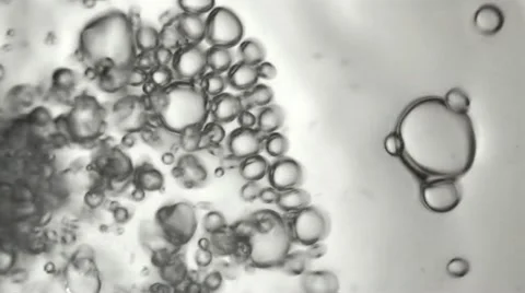 Air bubbles emerging from the water Stock Footage 12568731