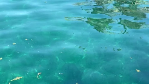 Air bubbles float to the surface, Cleopatra Spring, Siwa, Egypt Stock Footage 259192465