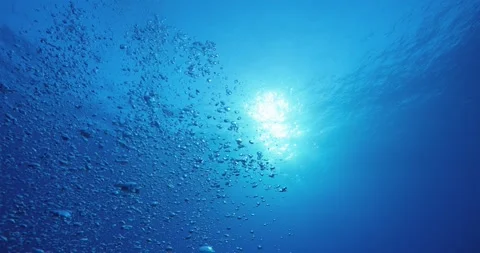 Air bubbles float to surface underneath ocean water with sunlight shining Stock Footage 334199553