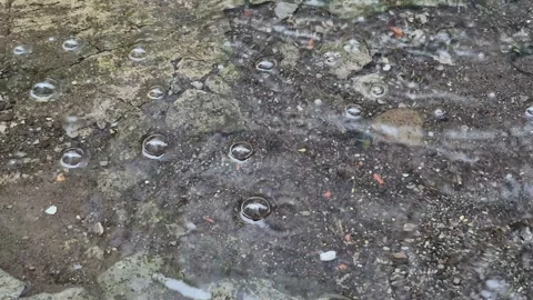 Air bubbles floating Stock Footage 318203795