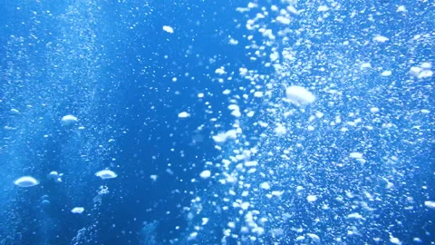 Air bubbles floating up through the water Stock Footage 172154706