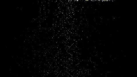 Air bubbles floating under transparent water on black background Stock Footage 108783312