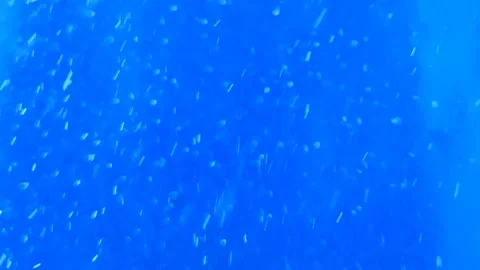 Air bubbles floating in the water Stock Footage 221556061