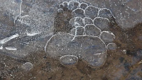 Air bubbles flowing under melting ice in spring Stock Footage 205538564