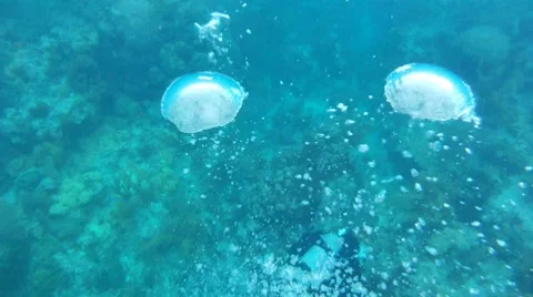 Air Bubbles Stock Footage 7903573