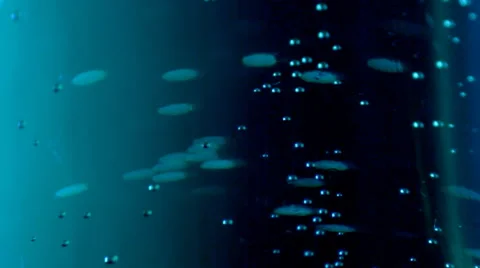 Air bubbles Stock Footage 48551233