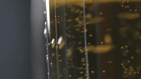Air bubbles going up in drink glass, fermentation process, pasteurized beer Stock Footage 91815462