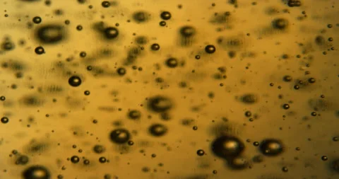 Air bubbles going up in a yellow liquid. Slow motion close up shot. Stock Footage 146602490