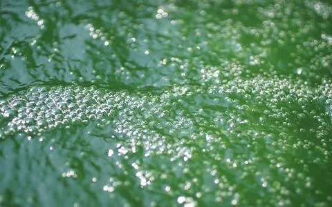 Air bubbles in green water with algae bloom Foto stock