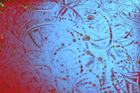 Air bubbles inside water base form patterns Stock Illustration