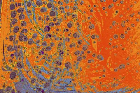 Air bubbles inside water base form patterns Stock Illustration