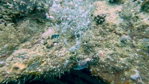 Air bubbles leaking from a large underwater shipwreck Stock-Footage 316027596