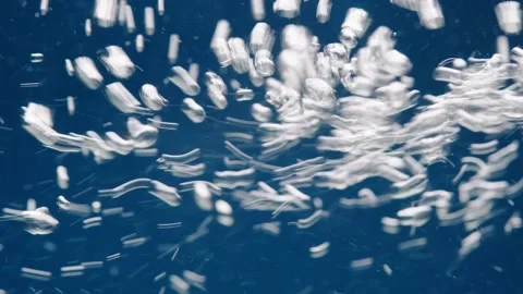 Air bubbles move underwater Stock Footage 146815922