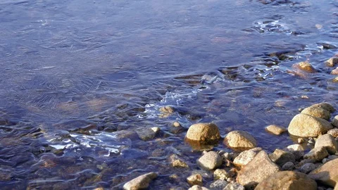 Air bubbles moving below ice cover at newly frozen shore Stock Footage 122449111