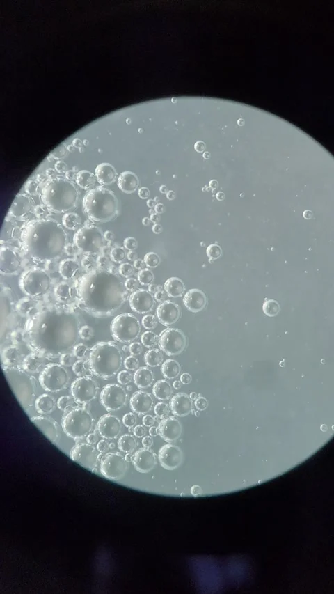 Air bubbles moving under microscope Vídeos de archivo 331446167