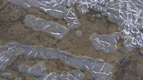 Air bubbles moving in water flowing under thin ice Stock Footage 168458995