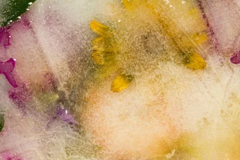 Air bubbles Stock Photos