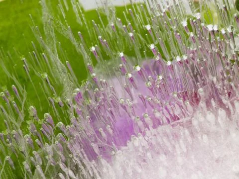 Air bubbles Stock Photos