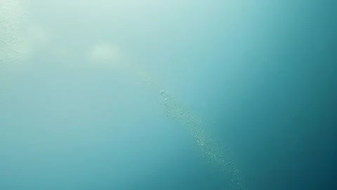Air Bubbles Rising Through Clear Blue Water in Marsa Alam Stock Footage 336612974