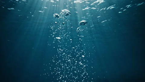 Air Bubbles Rising Toward Sunlit Surface Stock Footage 331230892