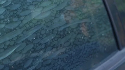 Air bubbles trapped in old deteriorated car window tint film Stock Footage 332831571