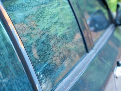 Air bubbles trapped in old deteriorated car window tint film, damaged adhes.. 写真素材