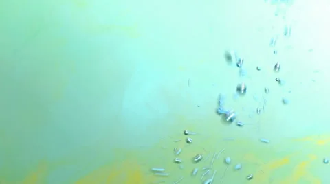 Air Bubbles In Turquoise Water Background Video stock 43207650