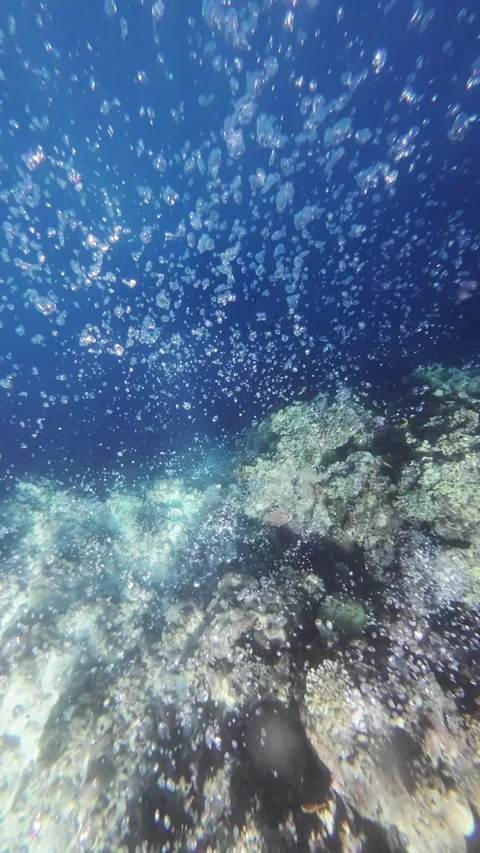 Air bubbles under water Stock Footage 330986696