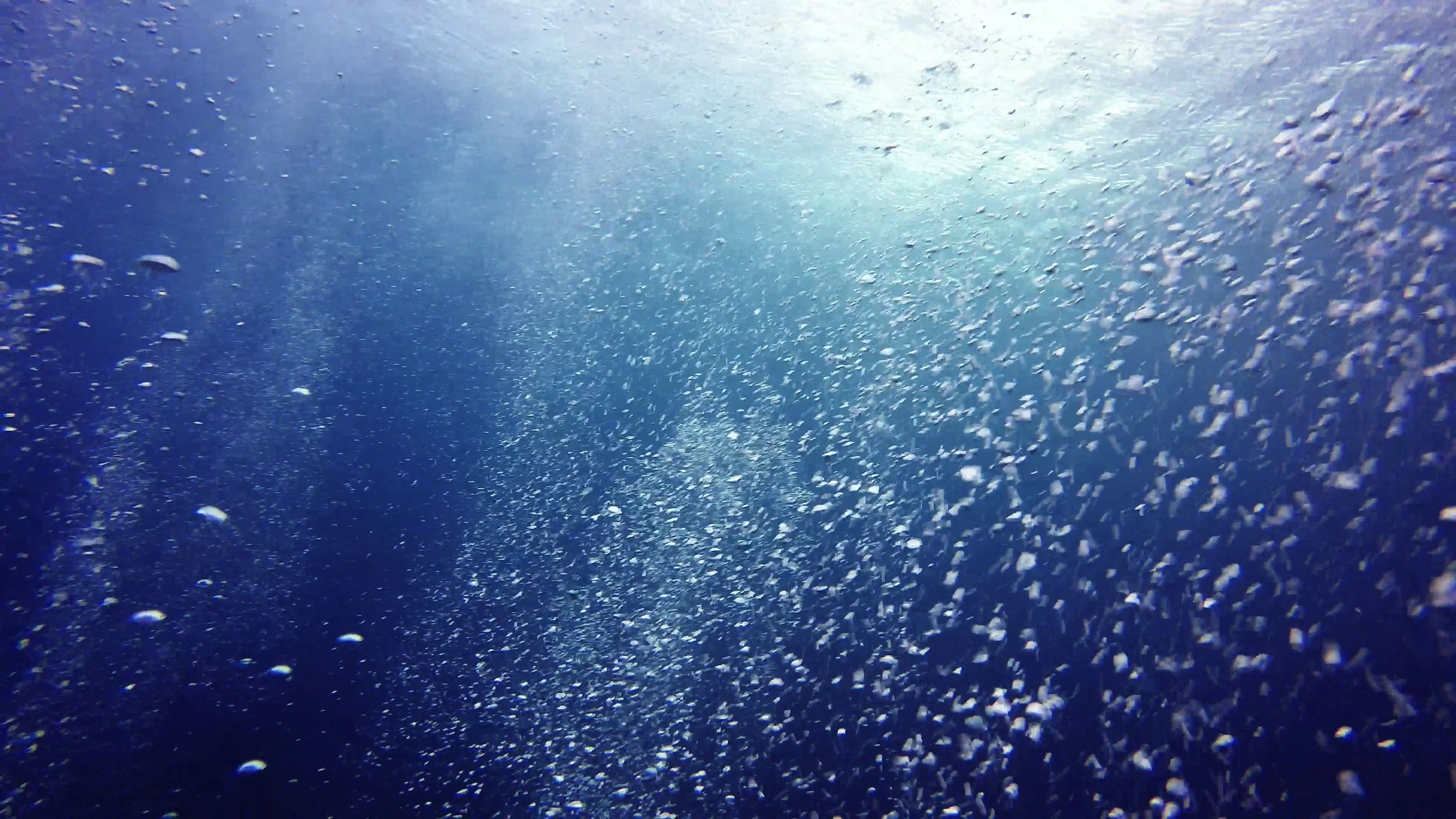 Sự huyền bí của bong bóng khí dưới nước luôn thu hút sự tò mò và ngưỡng mộ của con người. Với Stock Video của Pond5, bạn có thể thưởng thức những cảnh quay vàng son của bong bóng tuyệt đẹp dưới đáy đại dương, và tận hưởng những giây phút thư giãn đầy bình yên.
