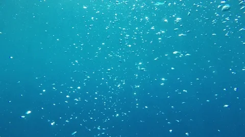 Air bubbles underwater Видео 81620076