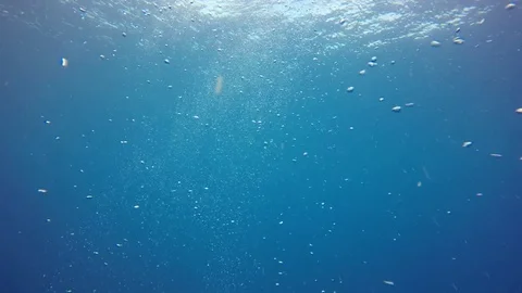 Air bubbles underwater 스톡 동영상 81620133