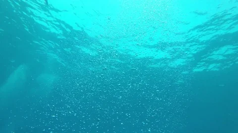 Air bubbles underwater Vidéo 81949867