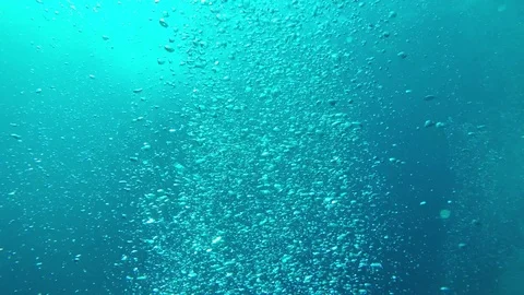 Air bubbles underwater 스톡 동영상 81949953