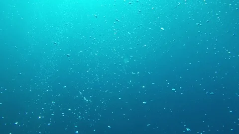 Air bubbles underwater Video stock 81950175